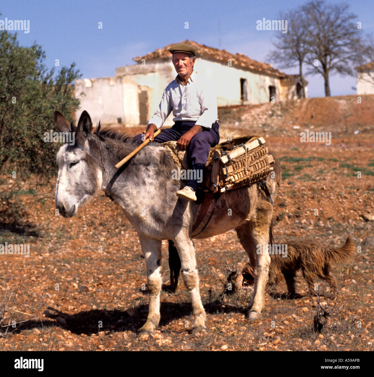 Spanish man and donkey hi-res stock photography and images - Alamy