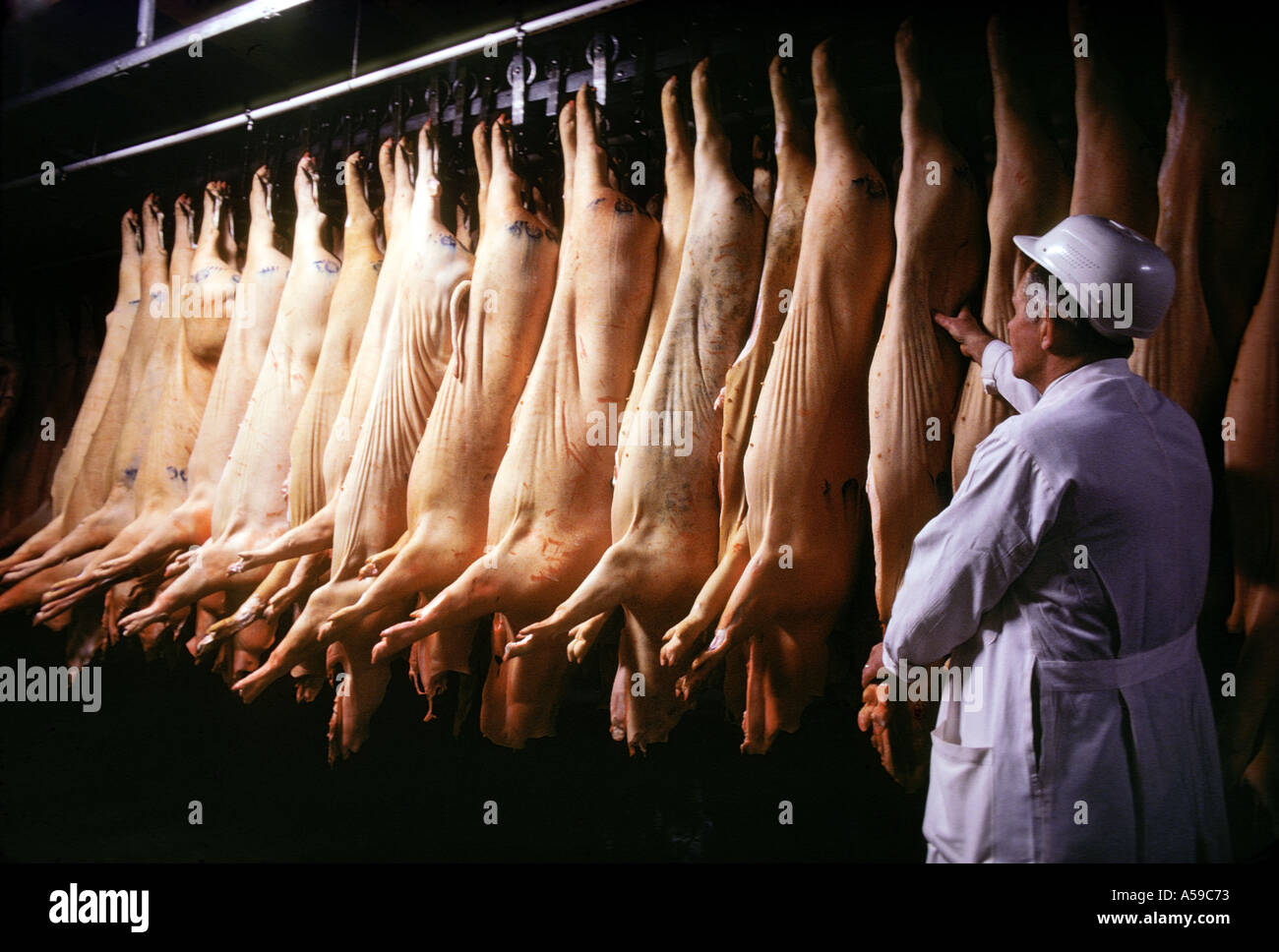 Slaughter house hires stock photography and images Alamy