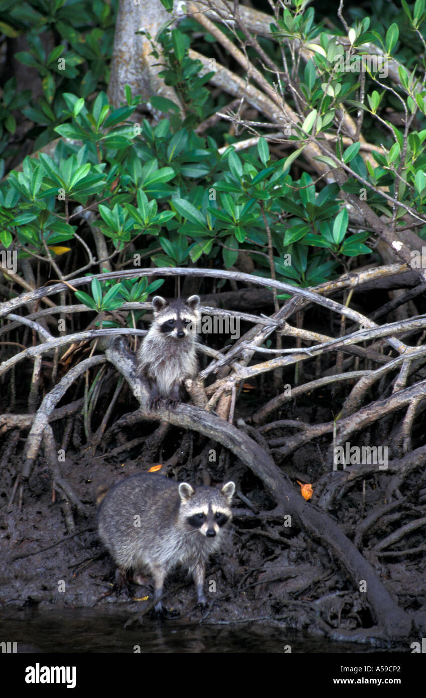 Life threathening hi-res stock photography and images - Alamy