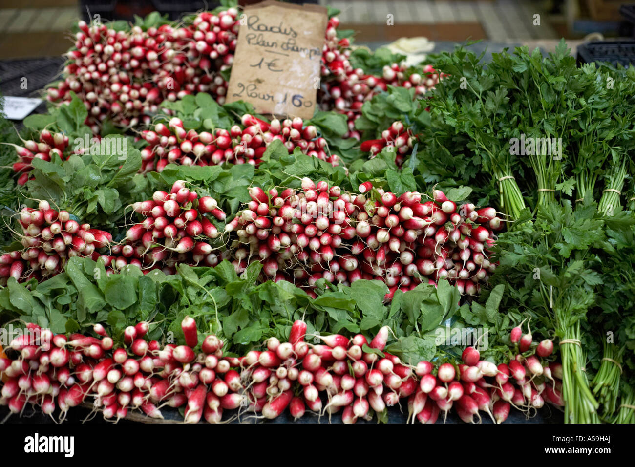 Radish and Parsley Stock Photo Alamy