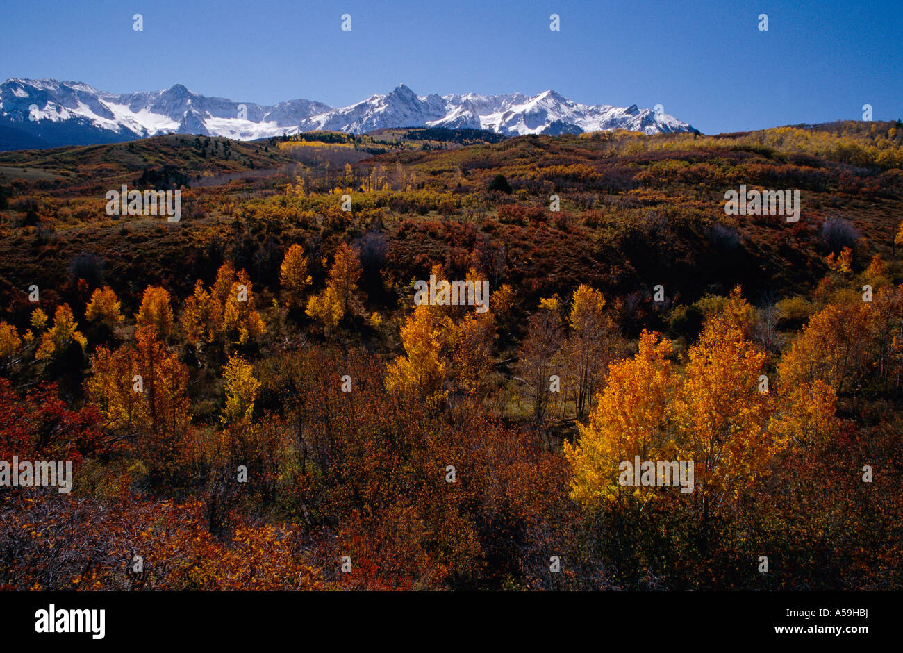 Dallas Divide, Colorado, USA Stock Photo Alamy
