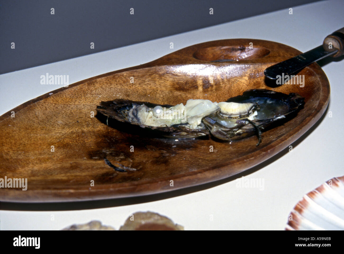 Oyster opened showing pearl in shop selling rings and jewellery made