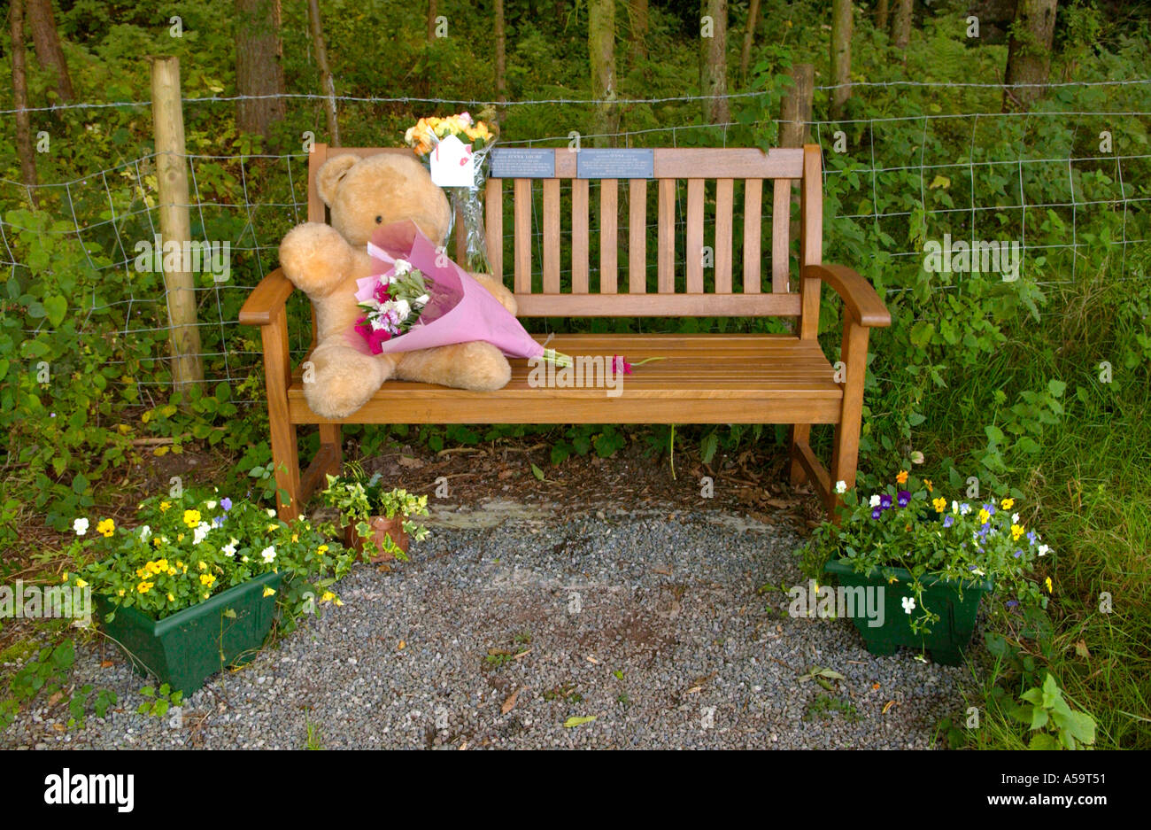 Road B4246 Memorial Bench To Murdered Teenager Jenna Baldwin Whose