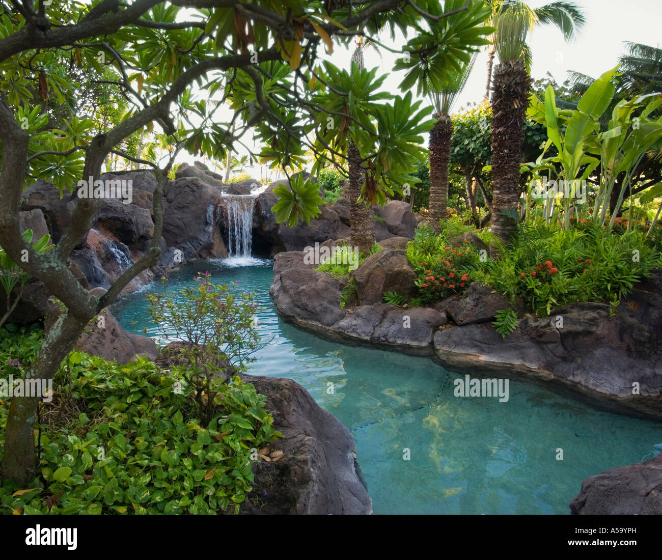 Waterfall and Pond at Resort, Kauai Island, Hawaii Stock Photo Alamy