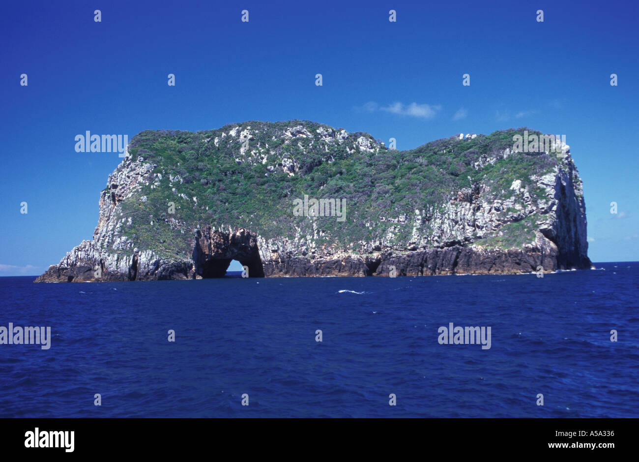 Poor Knights Islands Marine Reserve Stock Photo Alamy