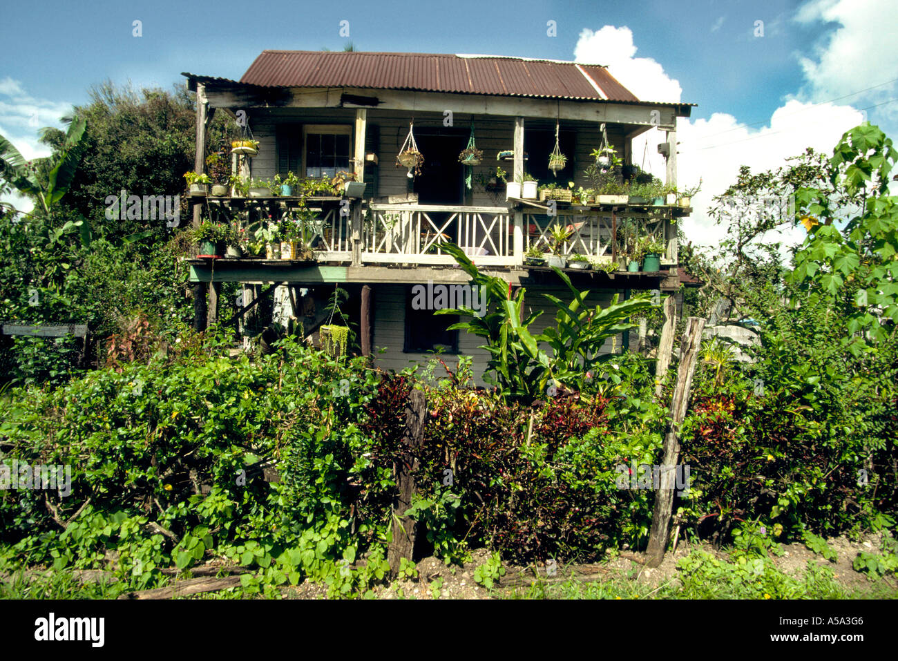 Belize Punta Gorda typical Belizian house Stock Photo