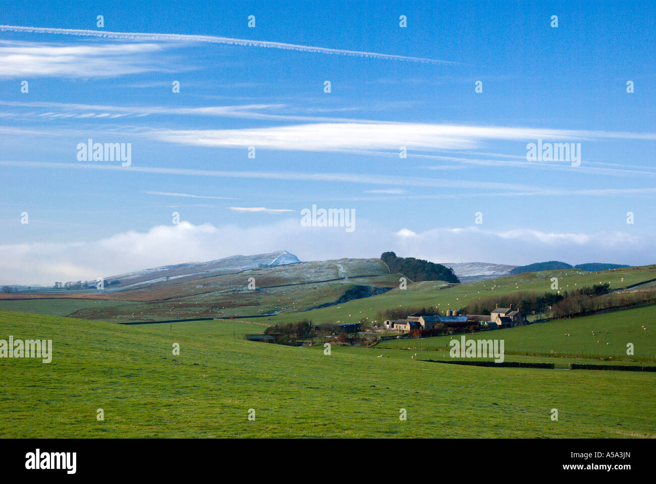 Hadrian's Wall trail as it passes Bradley Farm Stock Photo Alamy