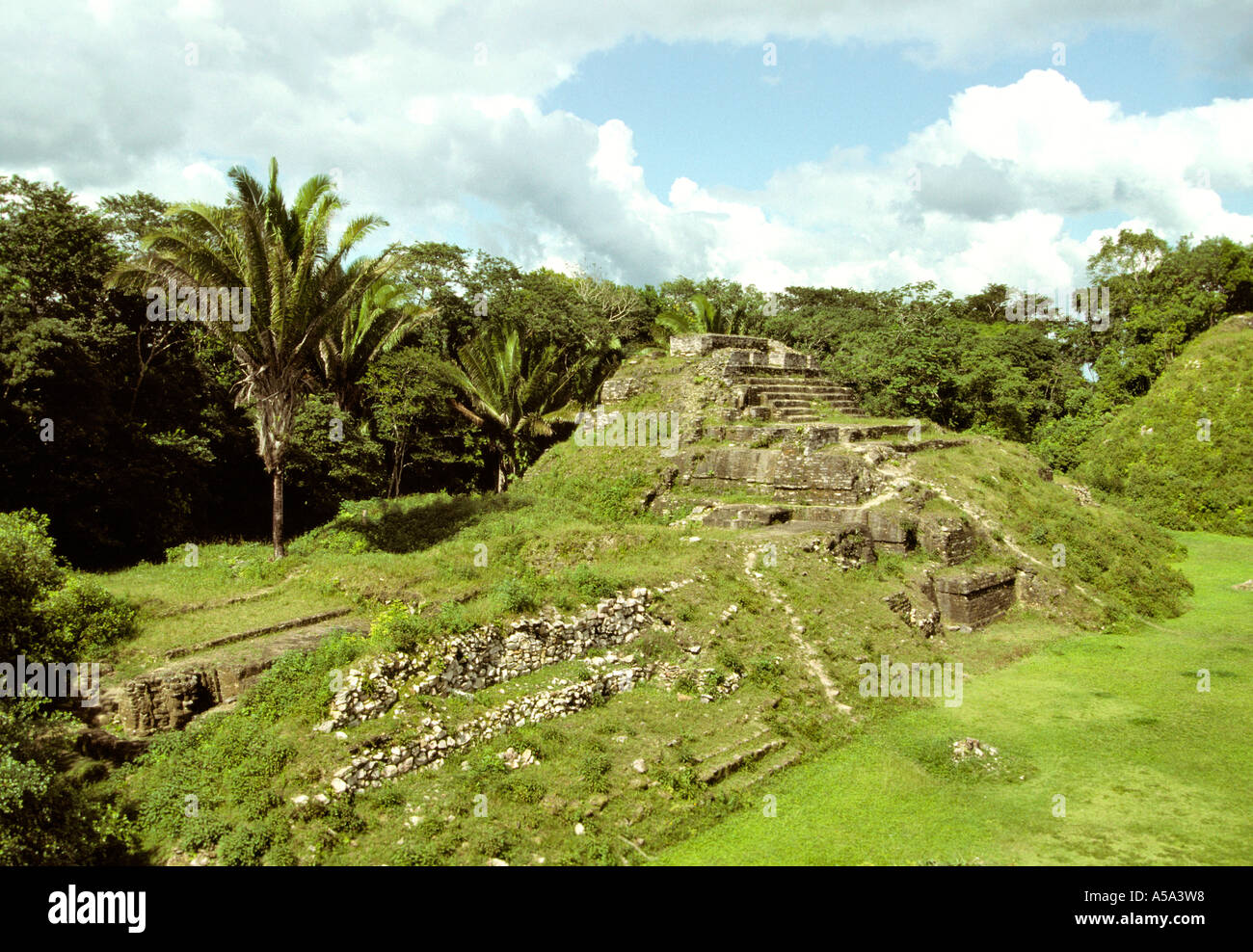 Belize Mayan Temple At Altun Ha Corozal District Stock Photo Alamy