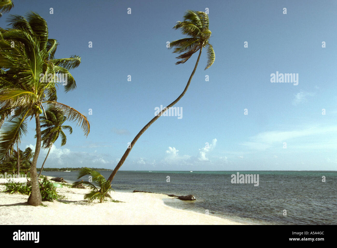 Belize Ambergris Cay deserted beach San Pedro Stock Photo - Alamy