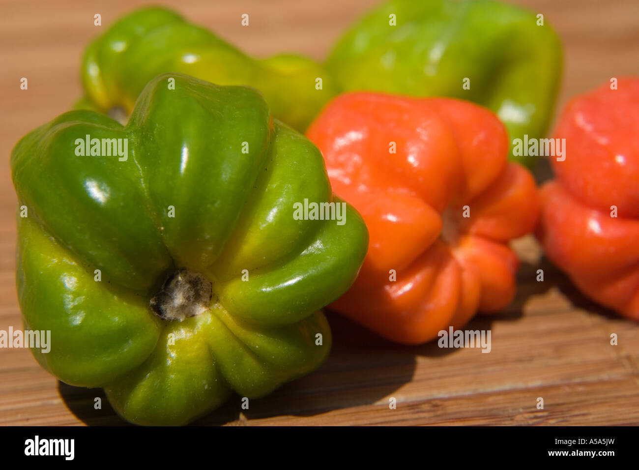 Capsicum chinense jacquin hires stock photography and images Alamy