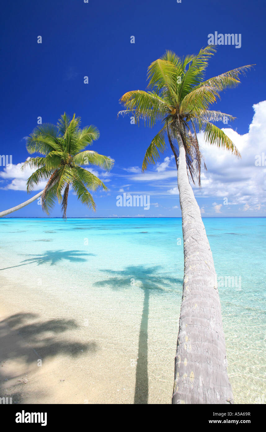 Tropical Dream Beach Stock Photo