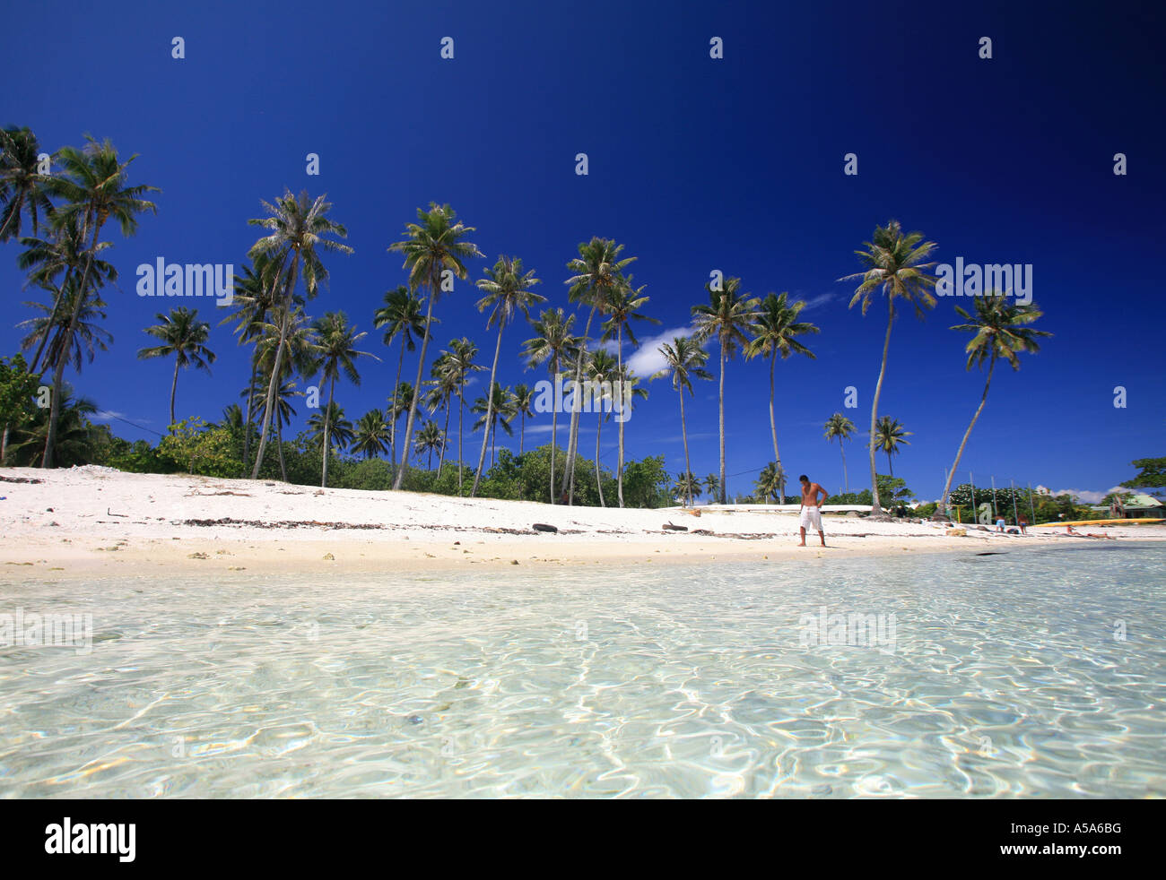 Tropical Dream Beach Stock Photo