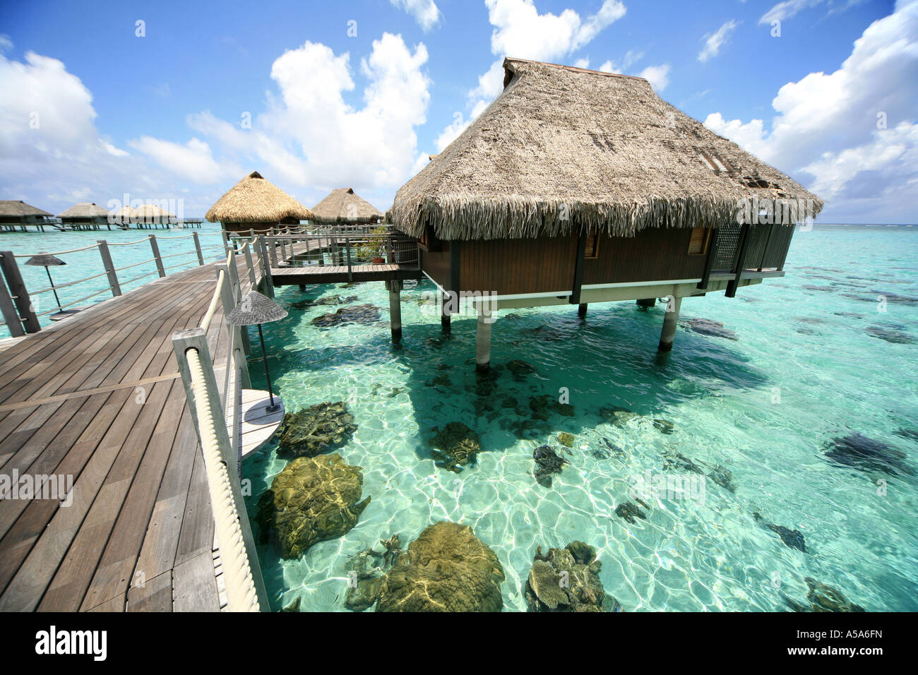 Tropical Dream Beach Stock Photo