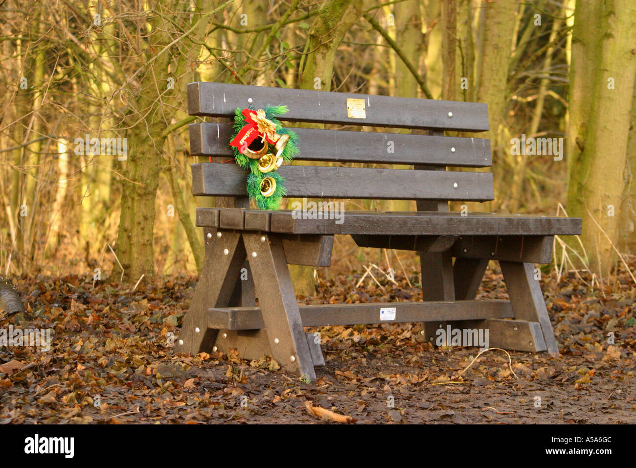 Recently placed park bench in memory of dead person Stock Photo
