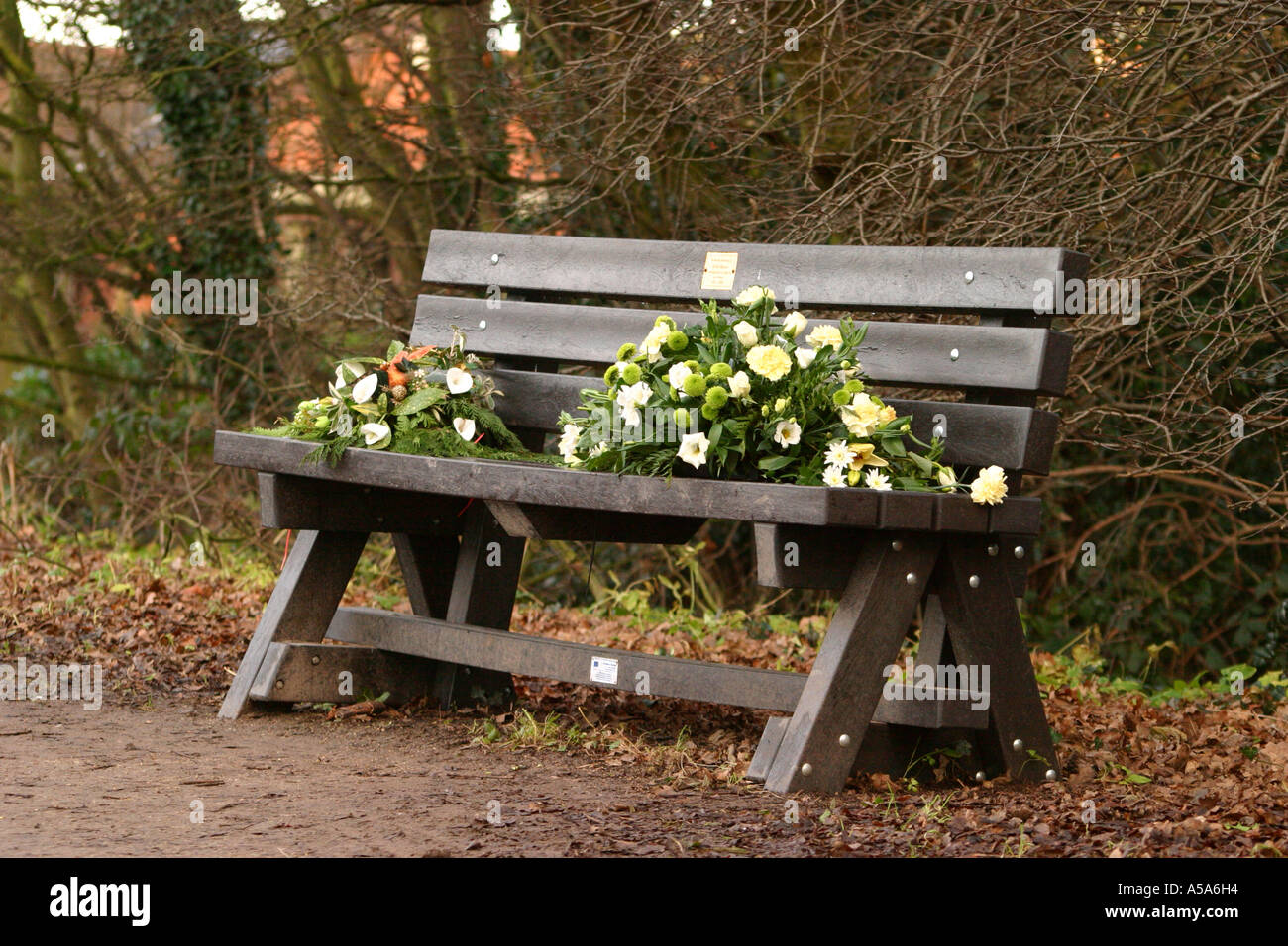 Recently placed park bench in memory of dead person Stock Photo