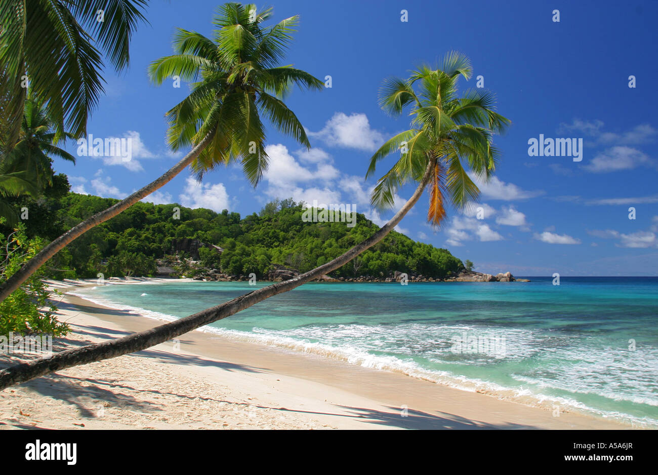 Tropical Dream Beach Stock Photo - Alamy