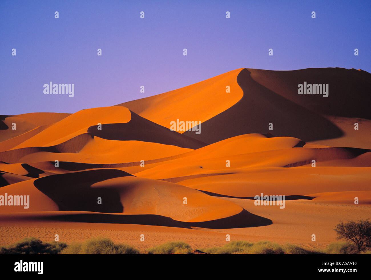 Sossusvlei Dune, Naukluft Park, Central Namib, Namibia Stock Photo - Alamy