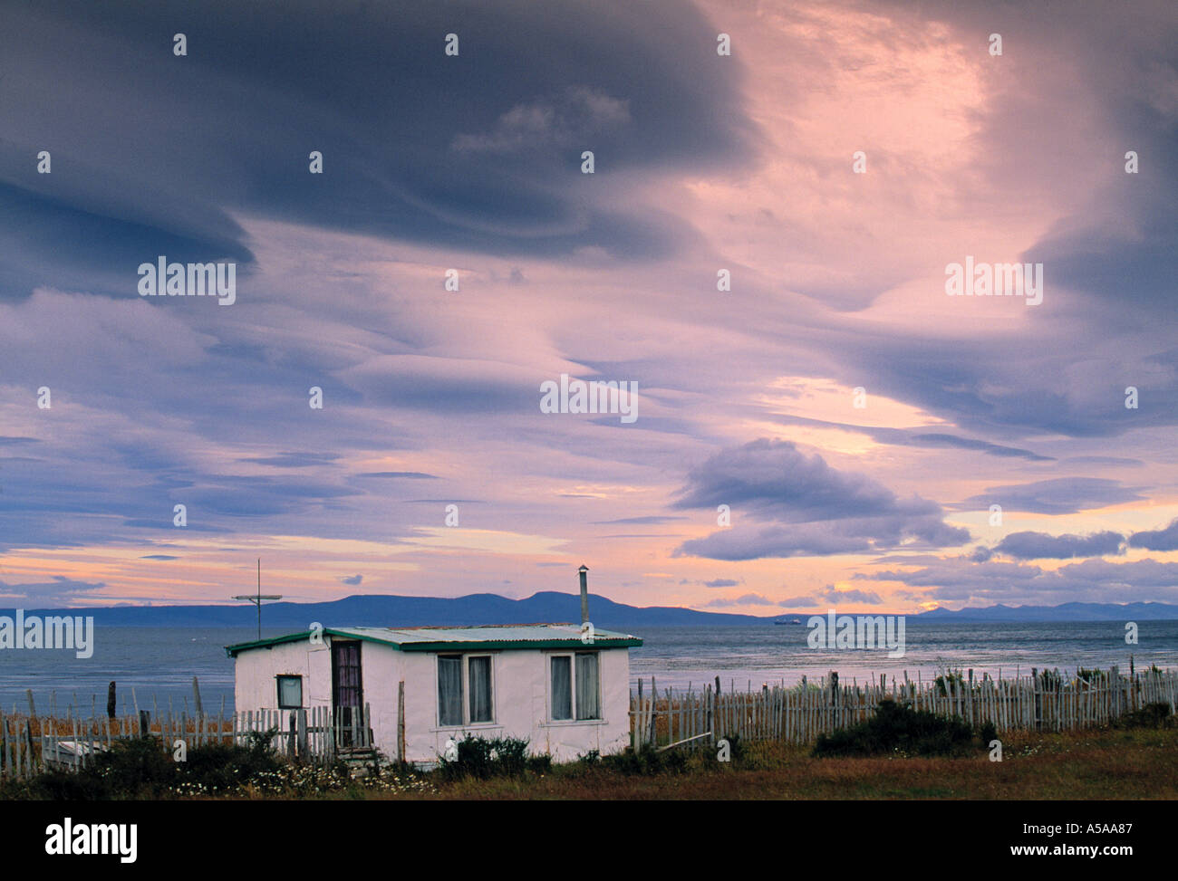 Punta Arenas Magellanes Chile Stock Photo Alamy
