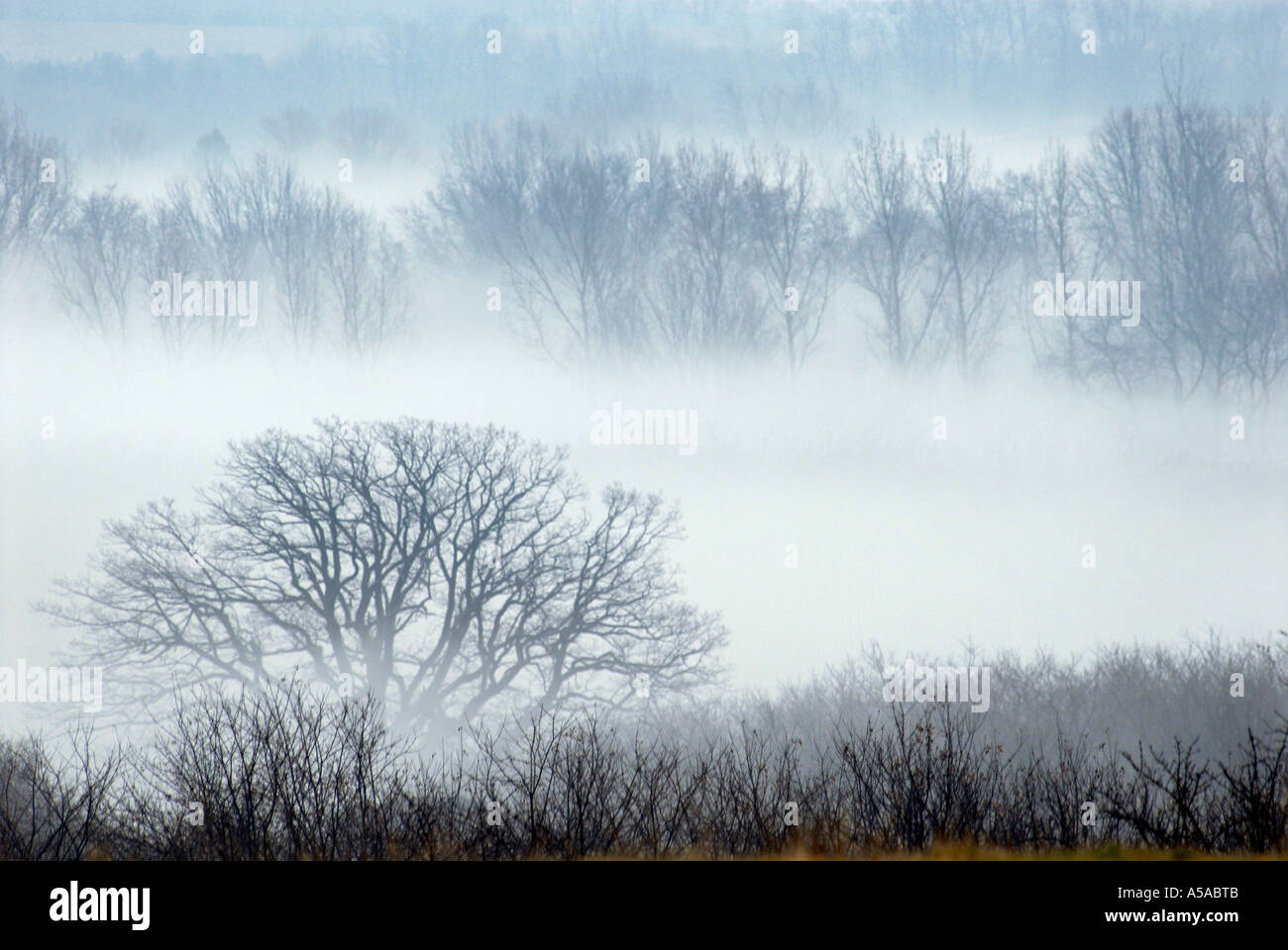 Scenic landscape view oak hi-res stock photography and images - Alamy