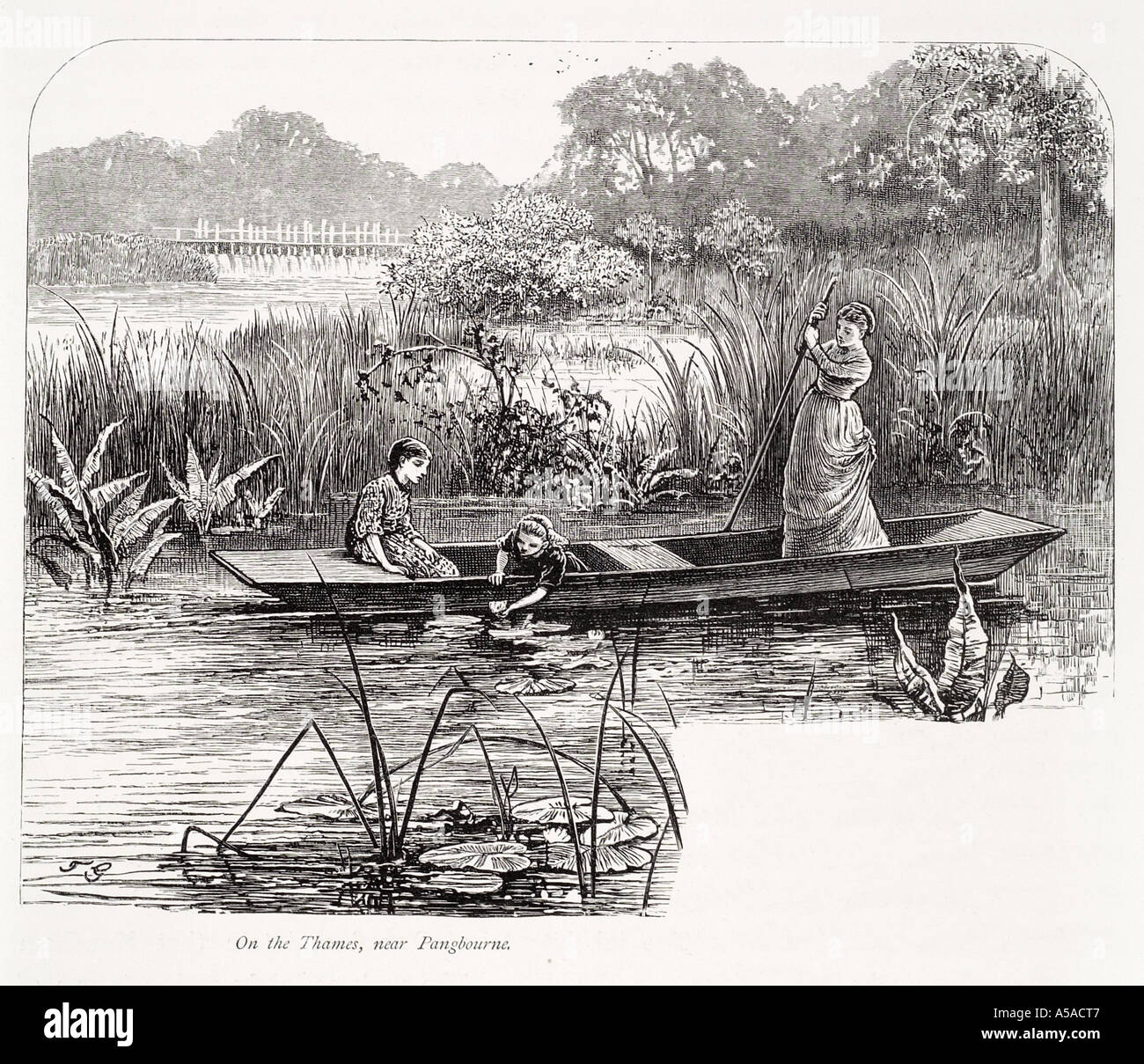 river Thames pangbourne Berkshire water lily punt pole rush reed weir ...
