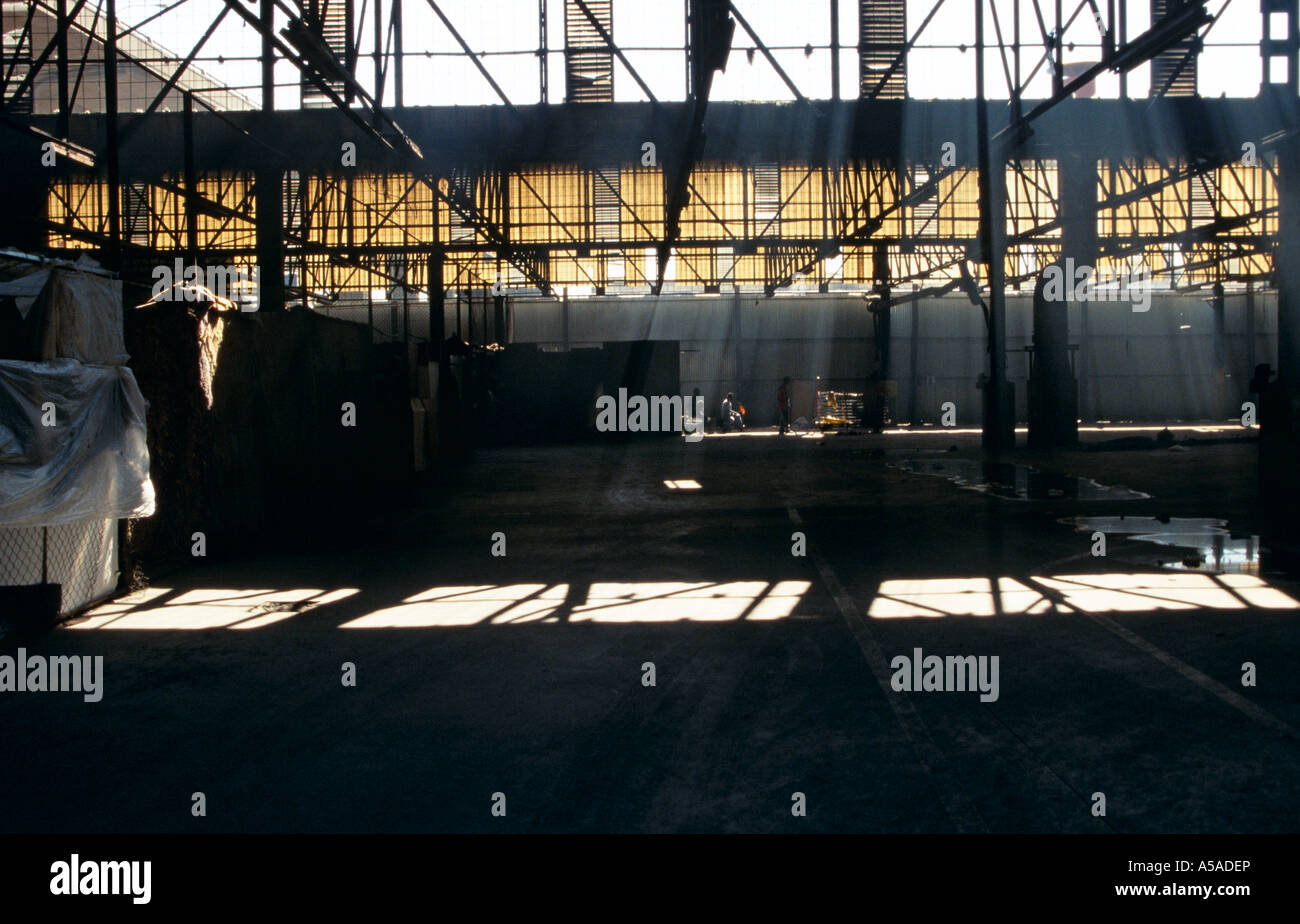 Lights shining through a warehouse in Johannesburg South Africa Stock