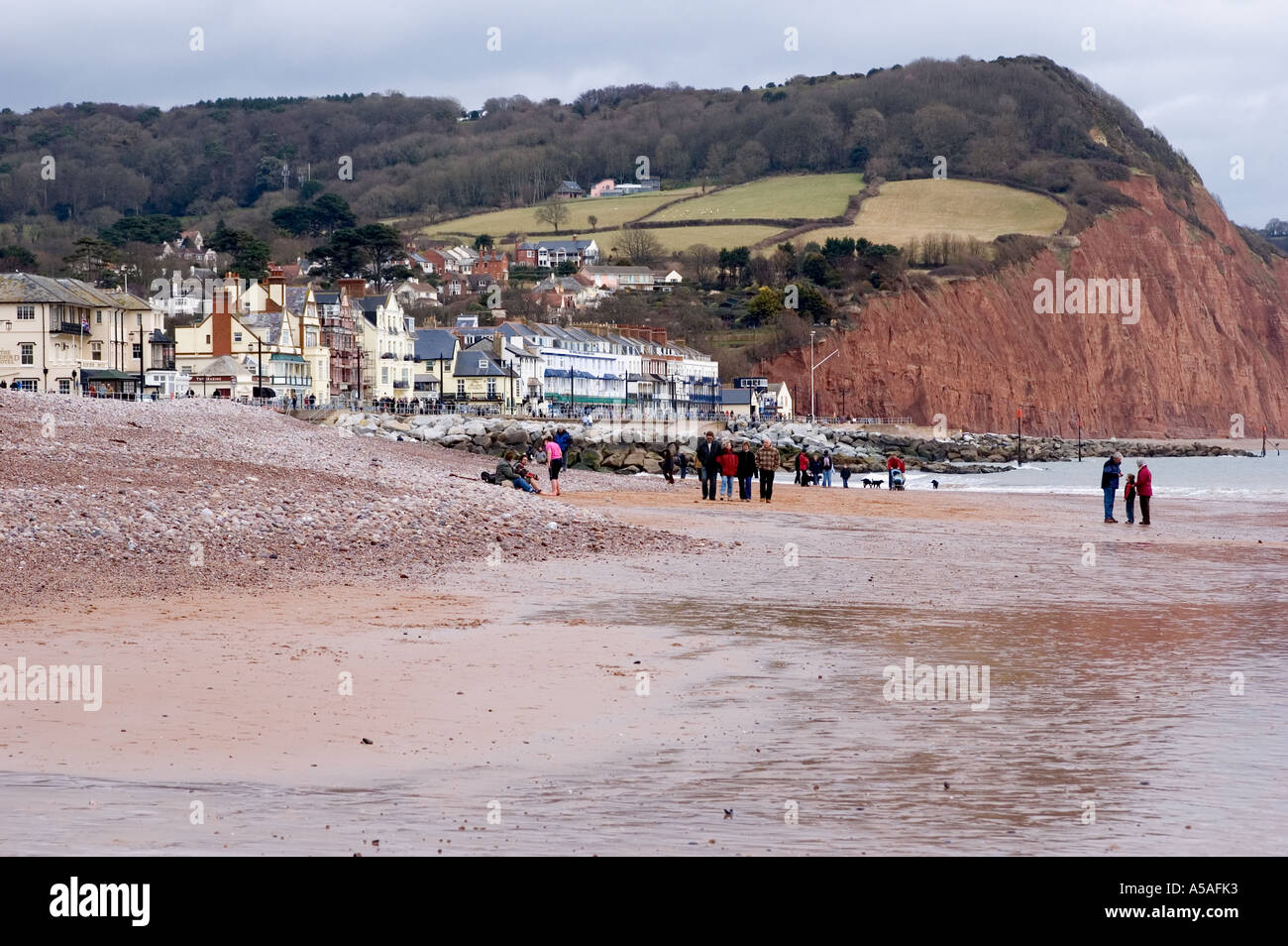 Sidmouth beach at low tide in early February Stock Photo