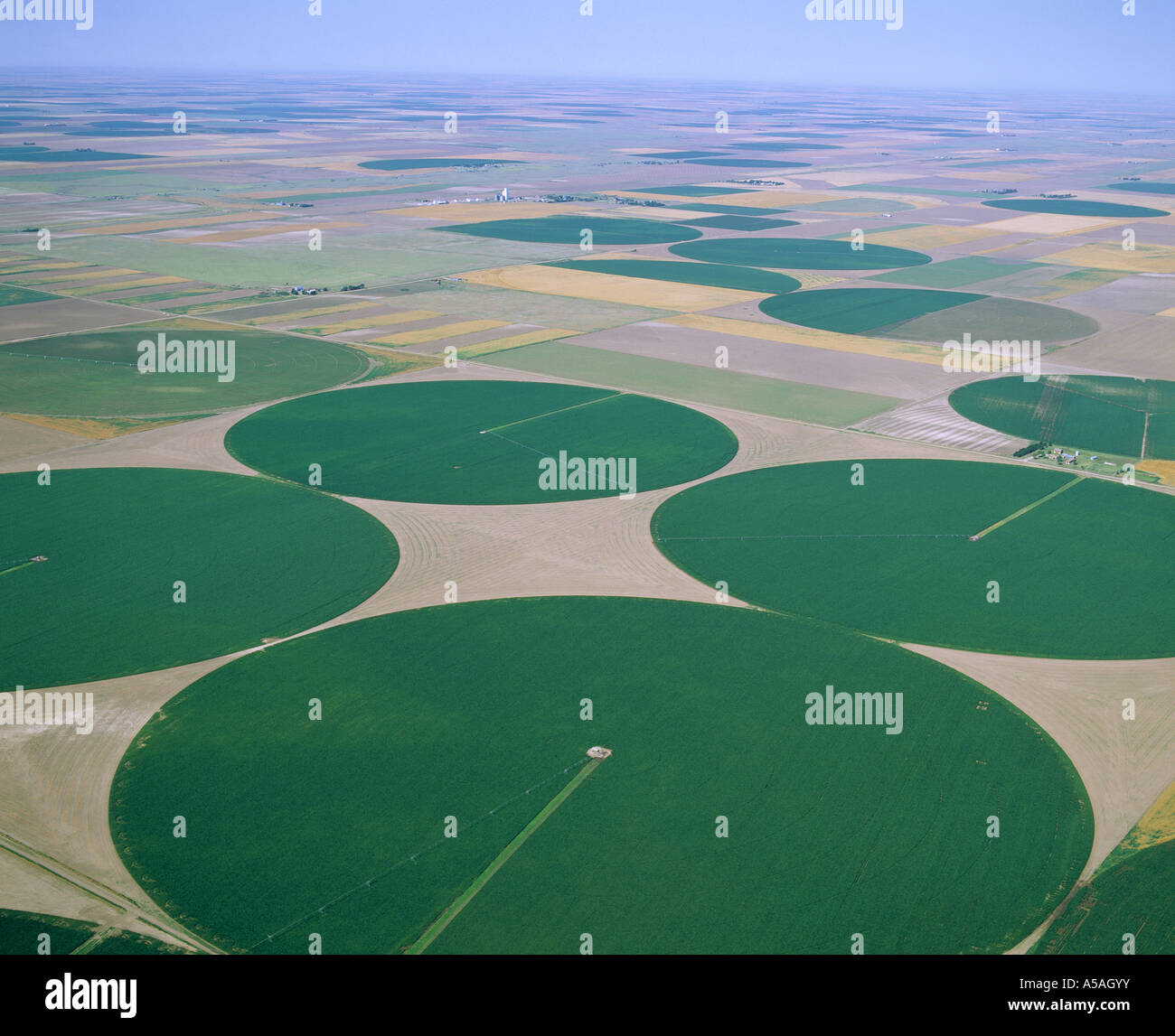 CENTER PIVOT IRRIGATION OF CORN KANSAS Stock Photo Alamy