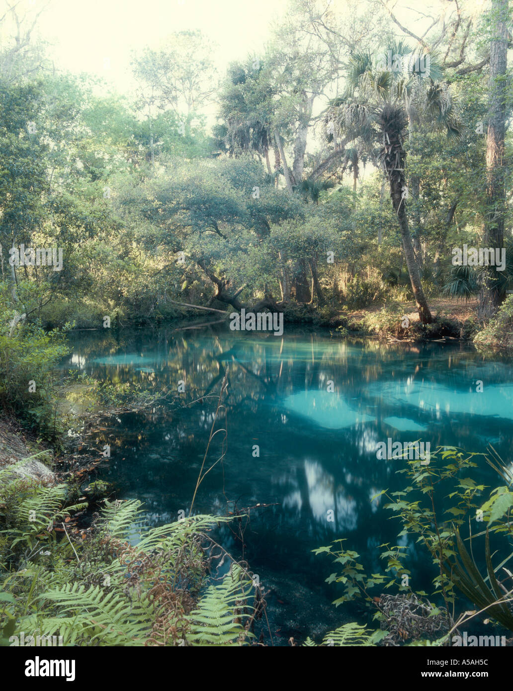 Hammock by creek hires stock photography and images Alamy