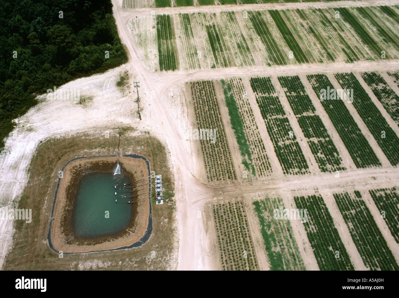 IRRIGATION RESERVOIR, PUMPS AND FEED LINES, SMALL PLOTS. COASTAL PLAINS