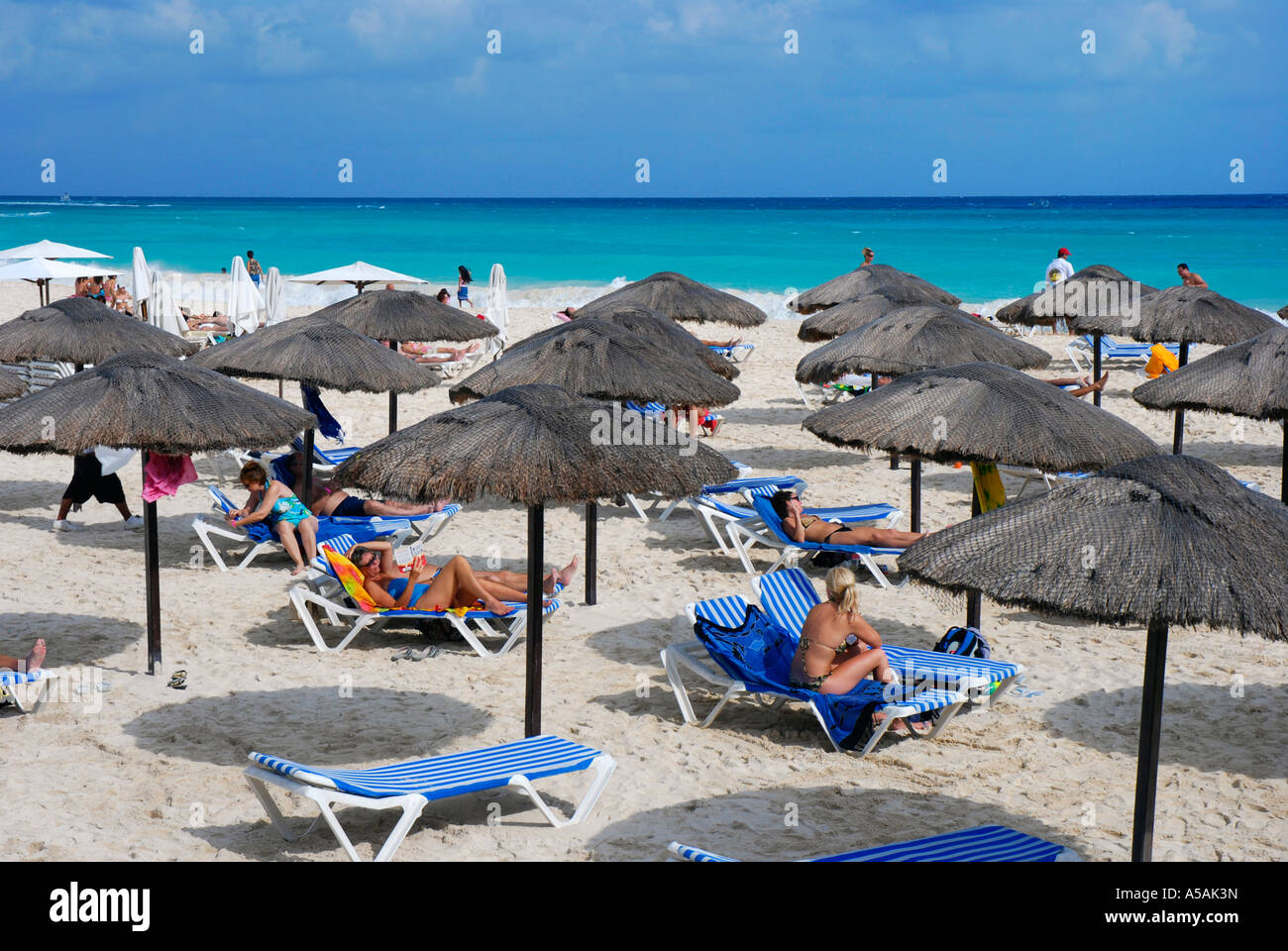 Mamita's beach club is one of many beach clubs along the beach in Playa del  Carmen where you can rent a sunchair or order food Stock Photo - Alamy