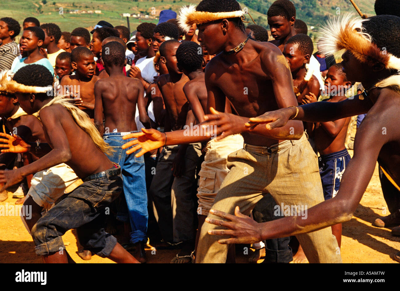 members-of-the-zulu-tribe-performing-their-traditional-dance-south