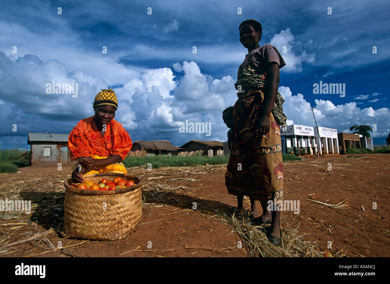 Woman selling tomatoes on roadside, Malawi, Africa Stock Photo