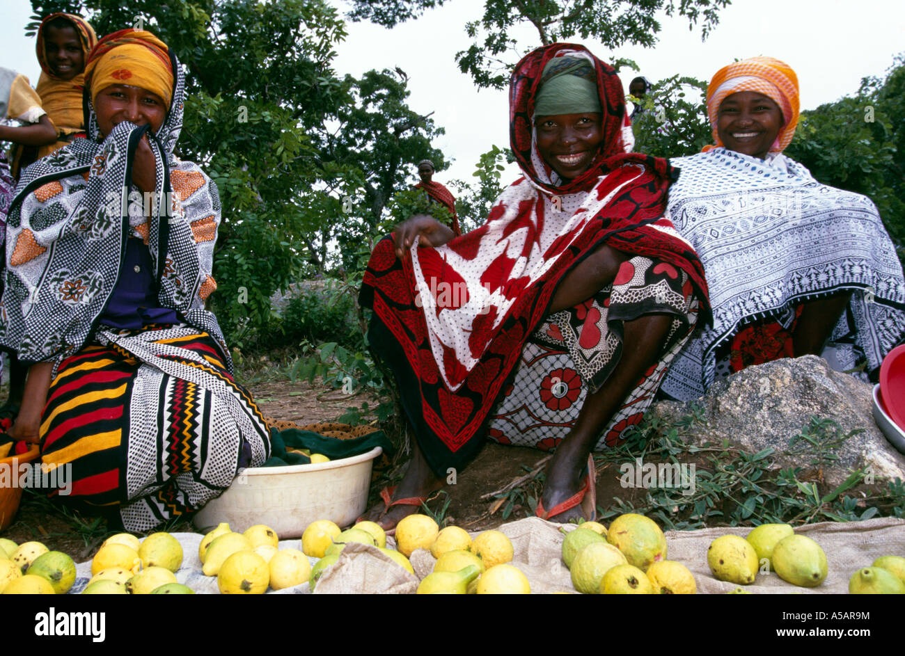 Women selling fruits on roadside, Nangwa, Tanzania, Africa Stock Photo