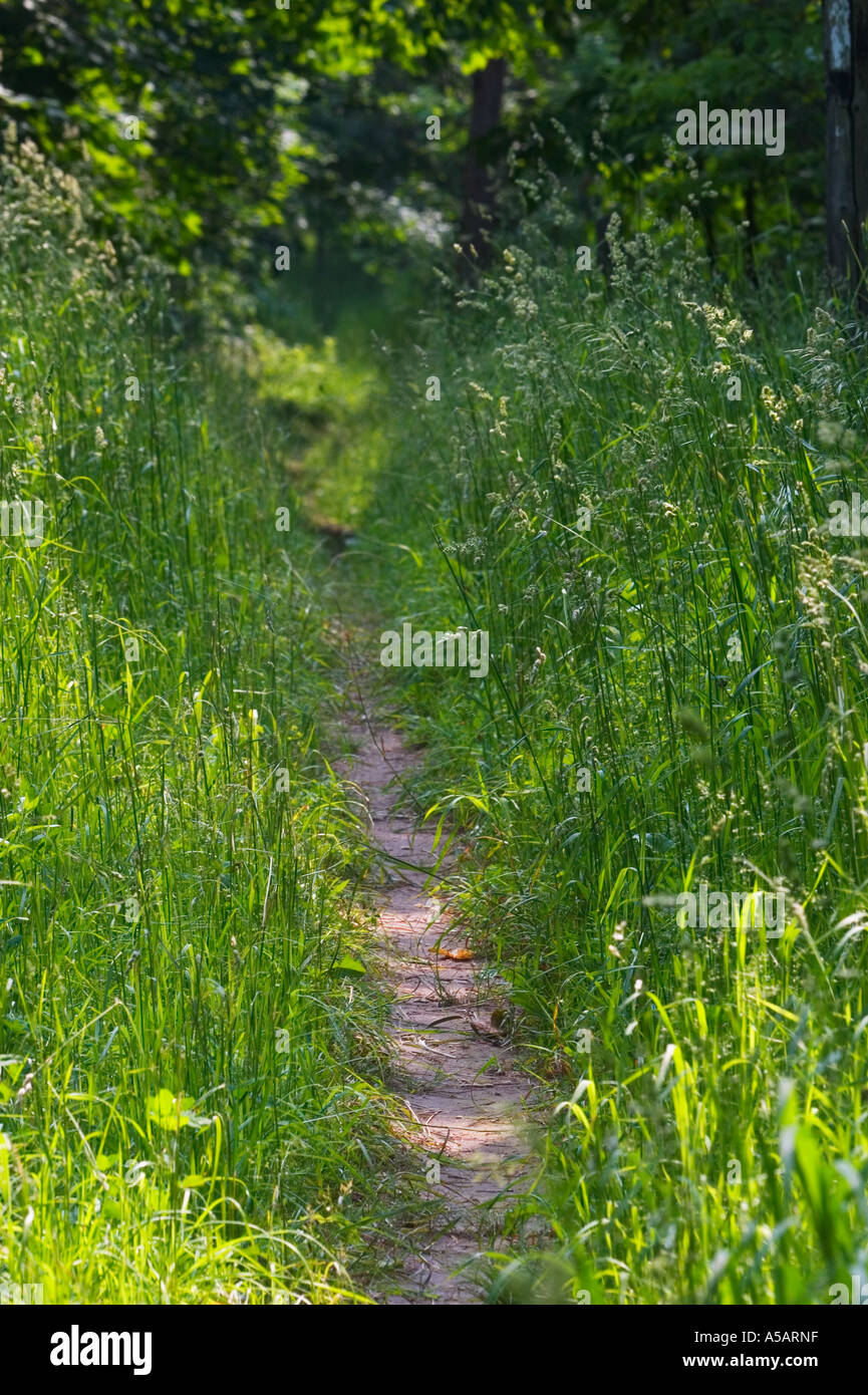 Trail through beautiful exotic hi-res stock photography and images - Alamy