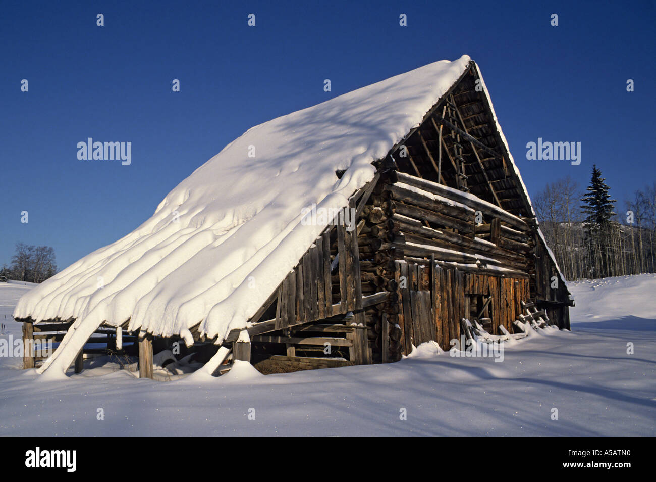 Old hay barn in winter Smithers British Columbia Stock Photo Alamy