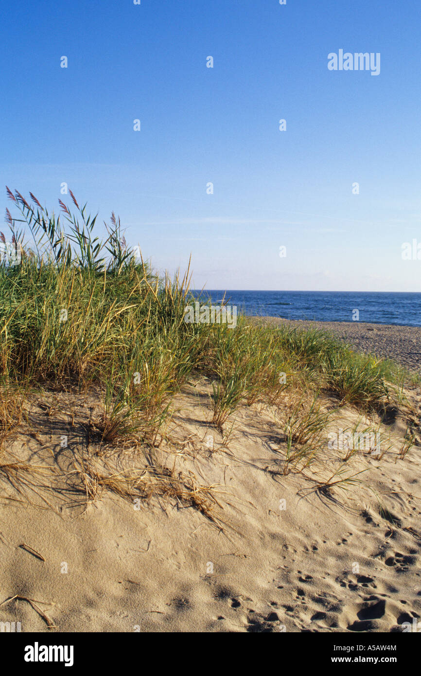 Coast guard beach eastham massachusetts hires stock photography and