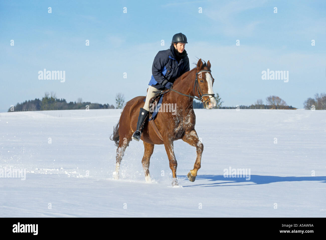 Young lady rider galloping on back of her horse in winter Stock Photo ...