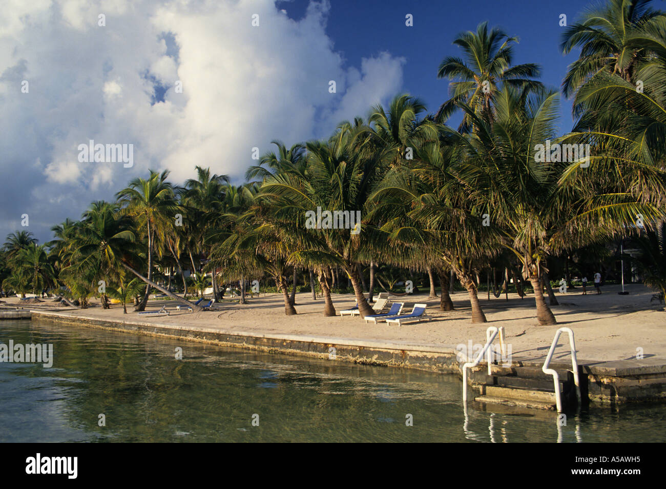 Beachfront scene San Pedro Belize Central America Stock Photo Alamy