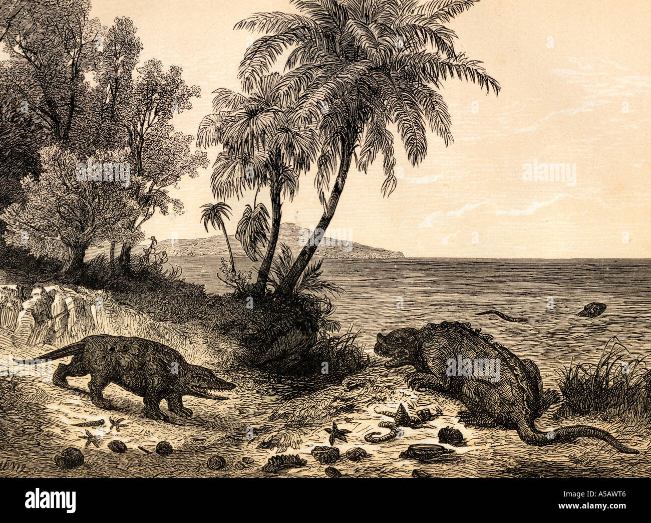 Landscape print hi res stock photography and images Alamy Landscape print hi res stock photography and images Alamy