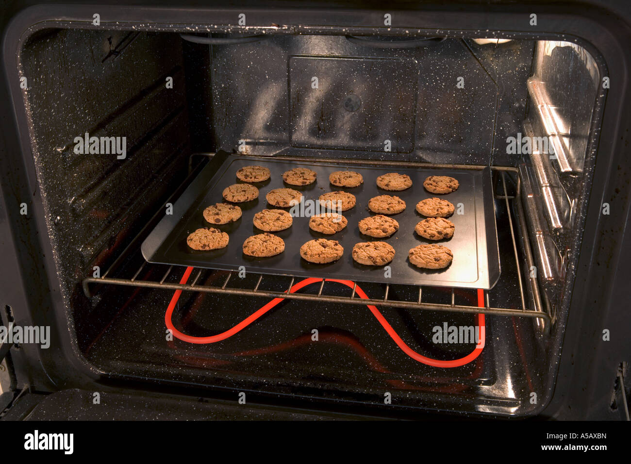 Cookies in the Oven Stock Photo