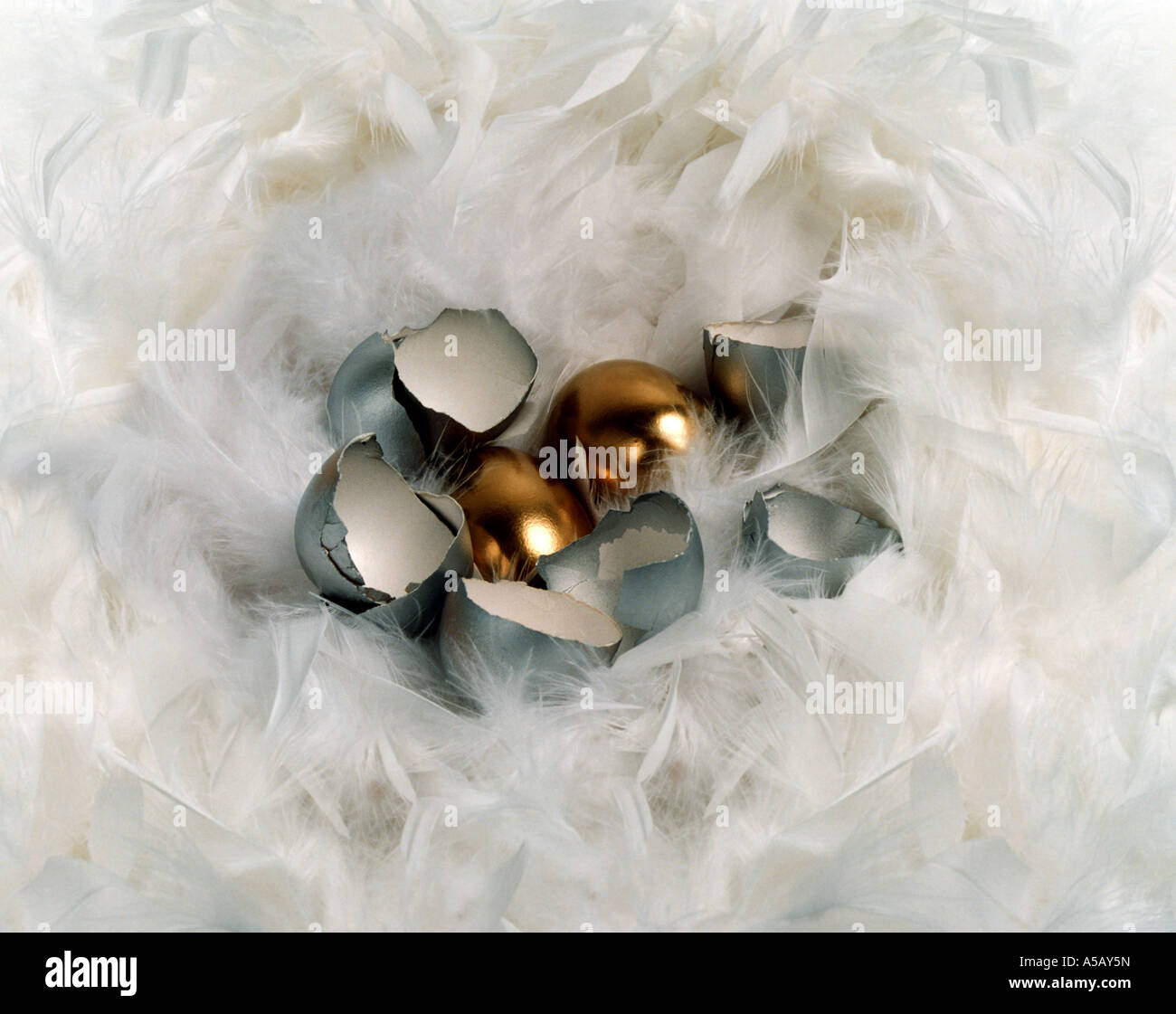 Silver and Gold Egg Shells in a Feather Nest Stock Photo