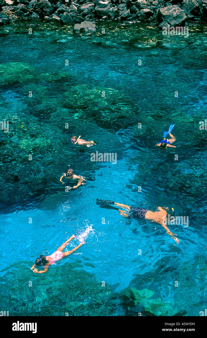 Snorklers in Kealakekua Bay Underwater Park Marine Conservation District Big Island of Hawaii Pacific Ocean Stock Photo