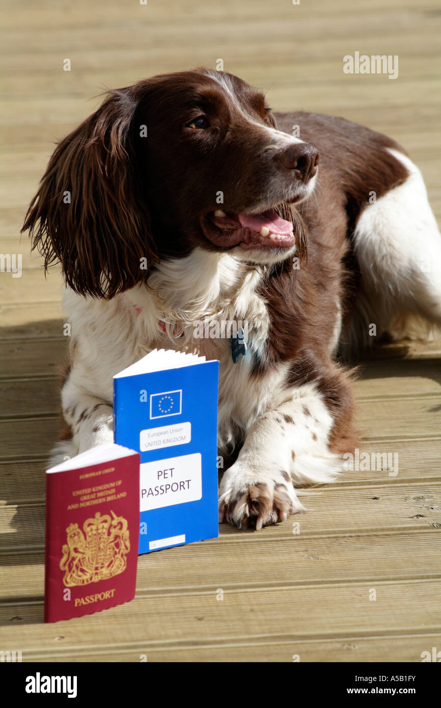 Defra dog cheap passport
