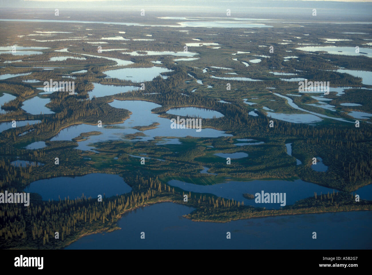 Ponds river channels in McKenzie River delta Yukon Territorium Canada Stock Photo