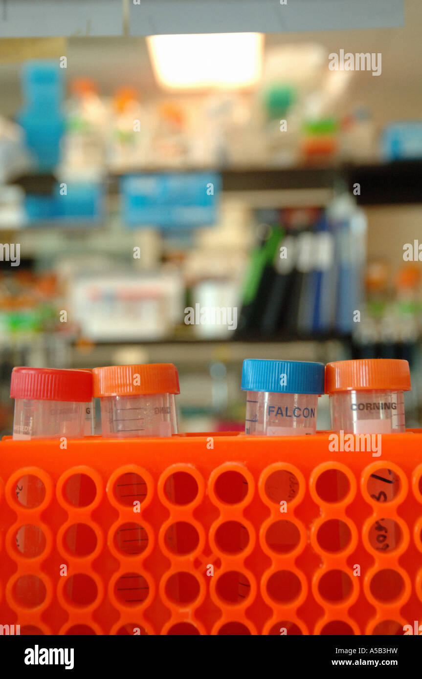 Container Lab Color Colorful lab detail of containers Stock Photo - Alamy
