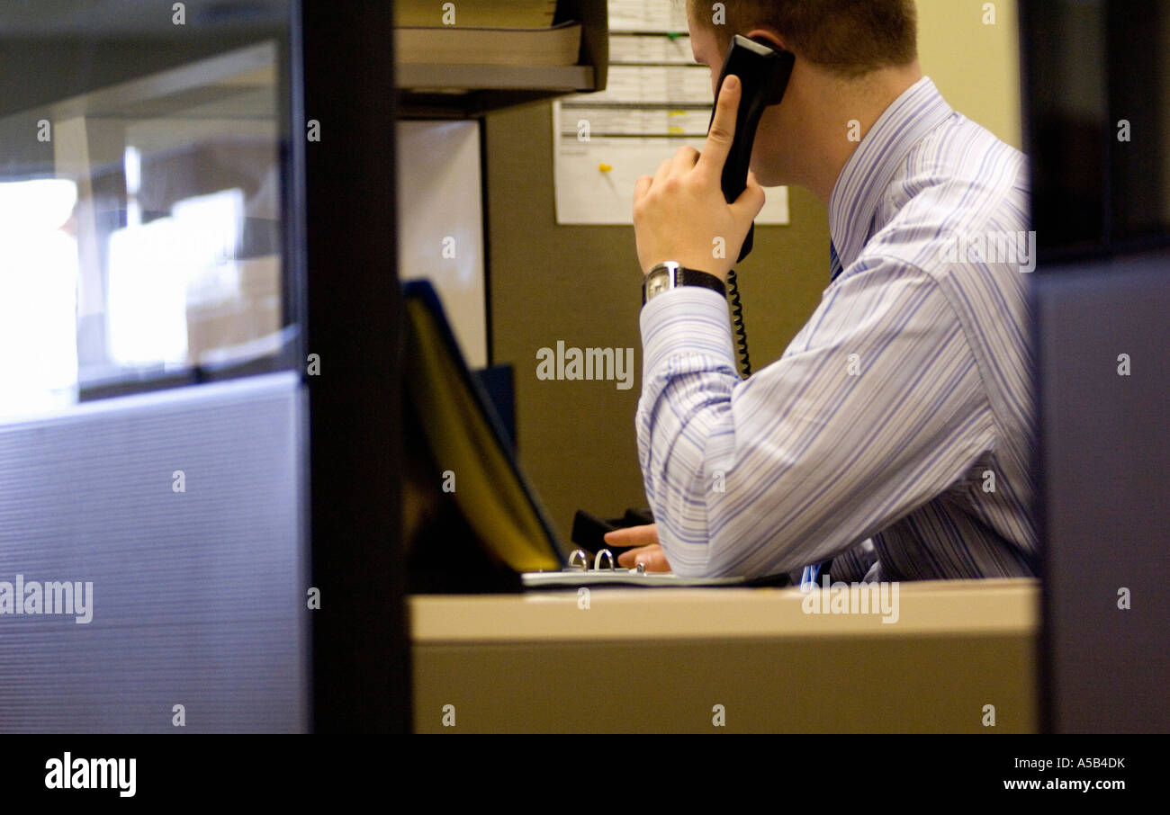 Office worker on phone in cubicle. Stock Photo