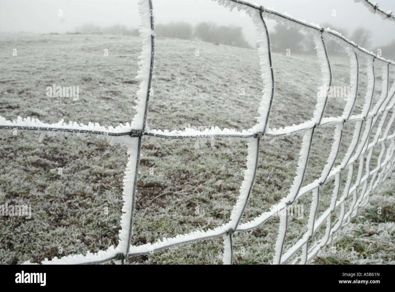Sheep netting fence hi-res stock photography and images - Alamy