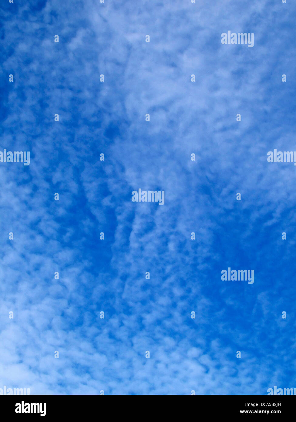 Wonder blue hi-res stock photography and images - Alamy