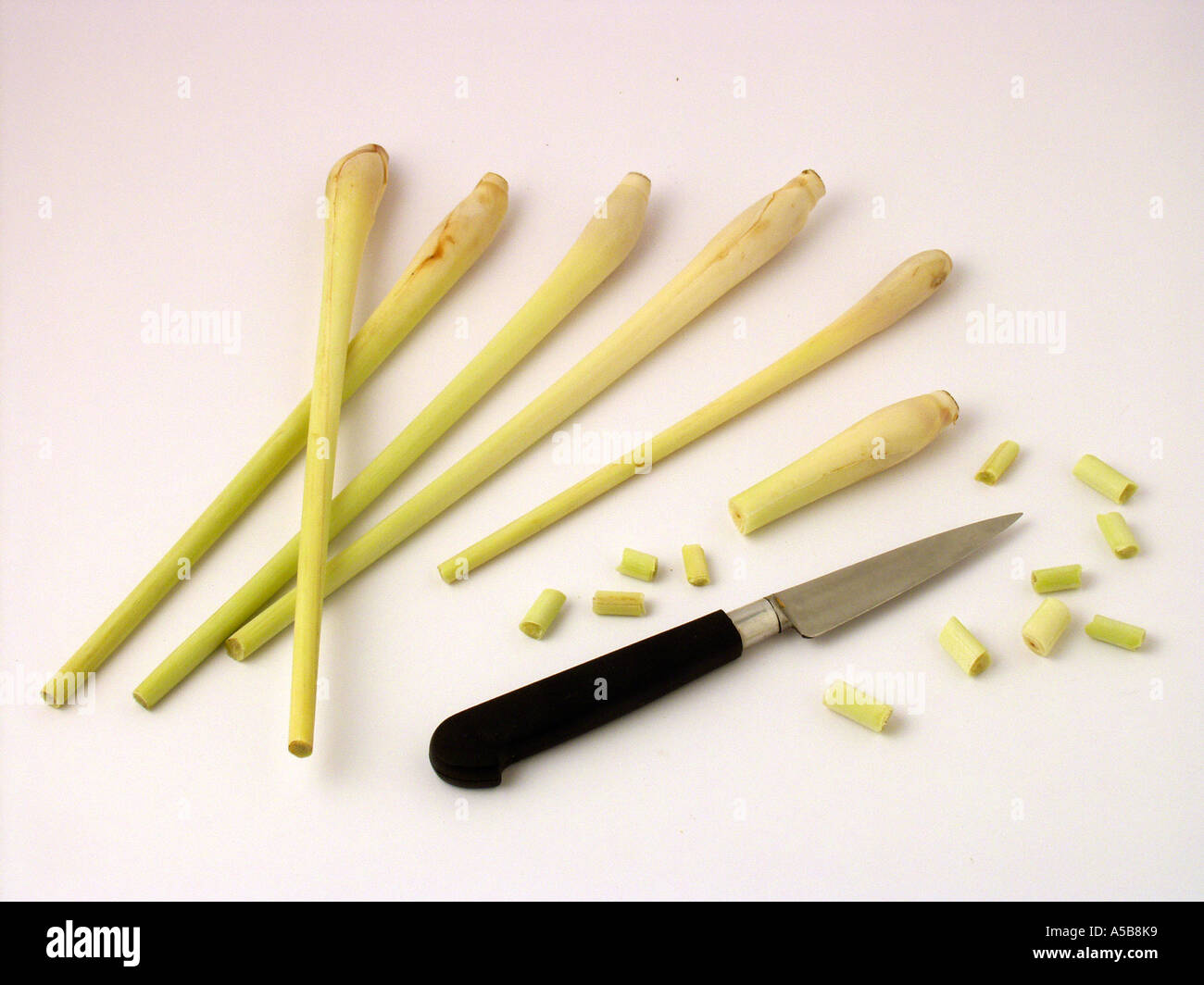 Lemon grass Cimbopogon citratus Stock Photo