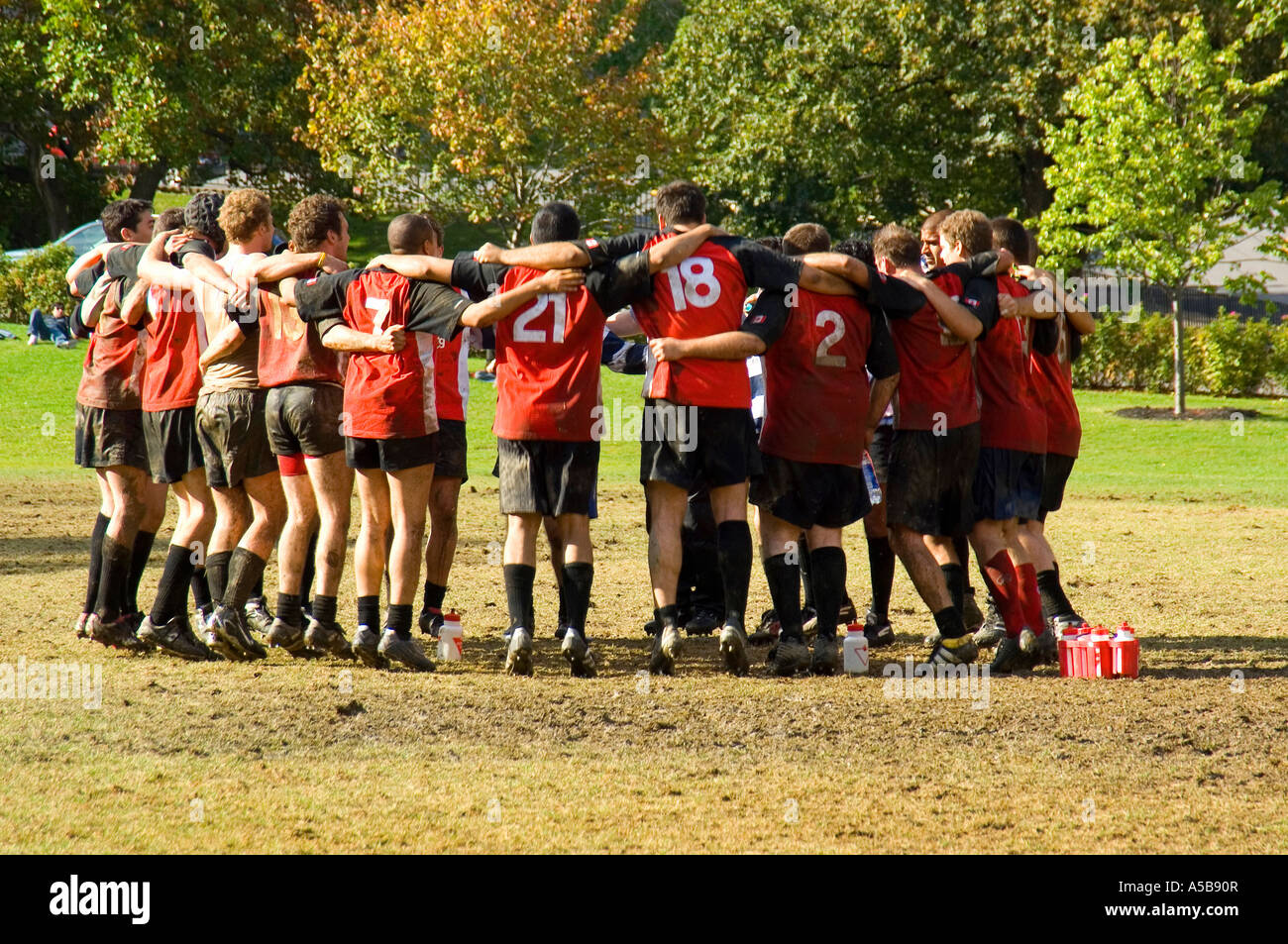 Group of rugby team members rallying together. Stock Photo